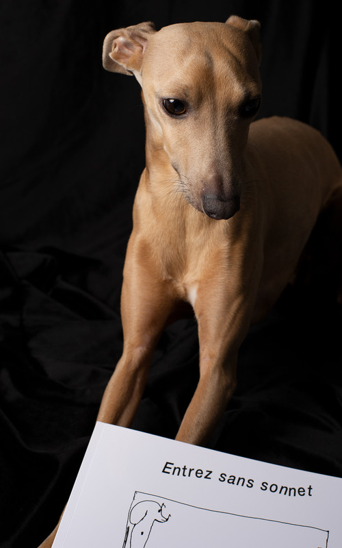 Entrez Sans Sonnet Image 1