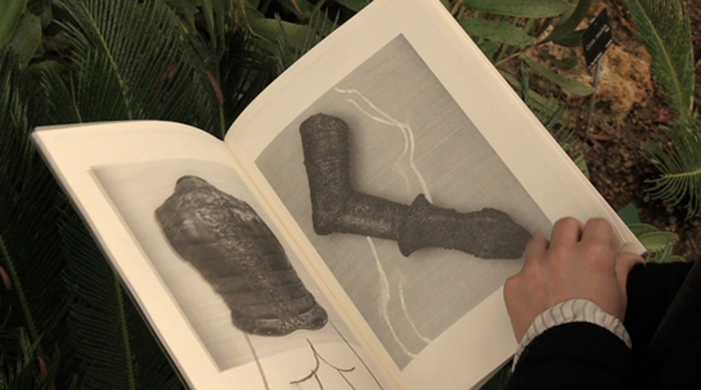 minuitdanslaserrec-1_original