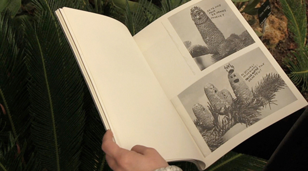 minuitdanslaserred-1_original