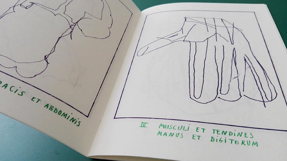 img_20180217_134426-1_original