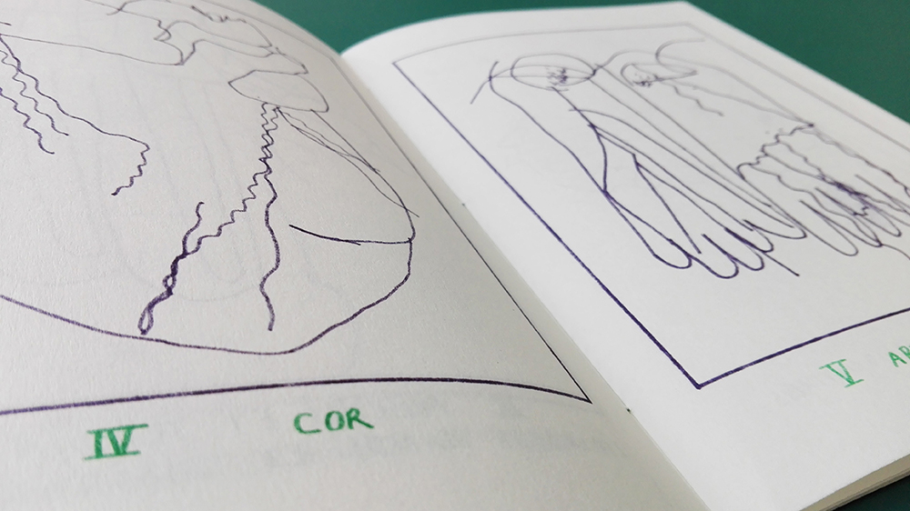 img_20180217_134444_original_copy_1