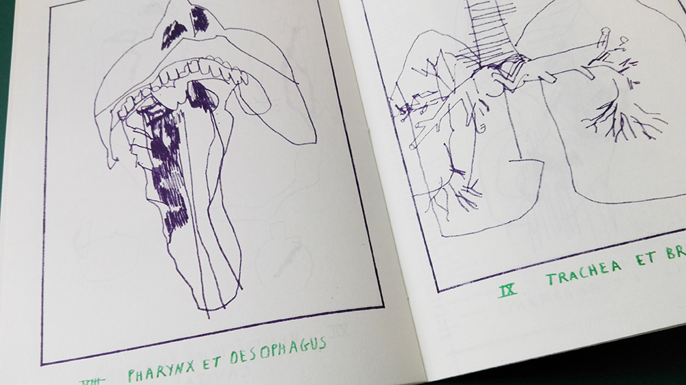 img_20180217_134559_original_copy_1