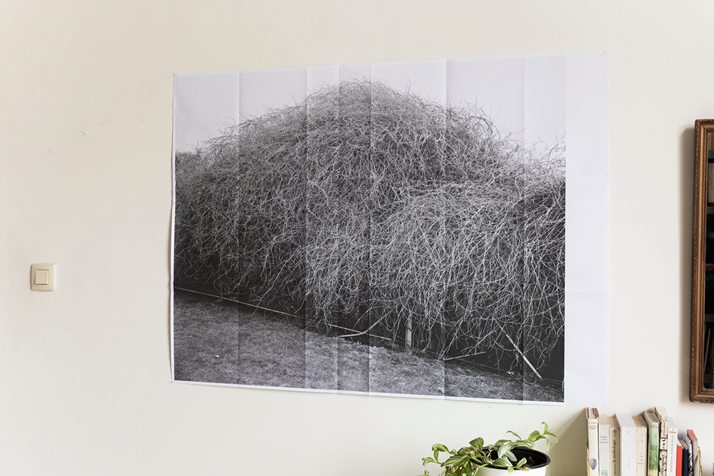 2019-12-04_00.30.10_original