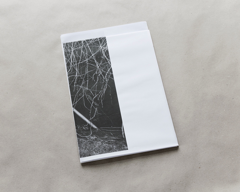 2019-12-04_00.30.18_original