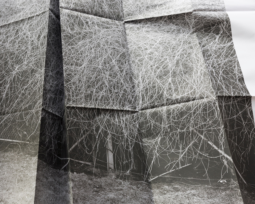 2019-12-04_00.30.35_original