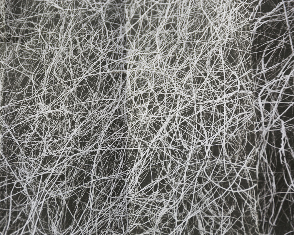 2019-12-04_00.40.42_original